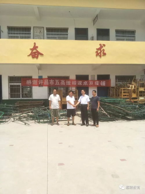 工作动态
