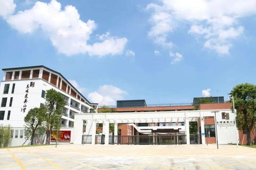 东城虎英小学 同行教育 智创未来