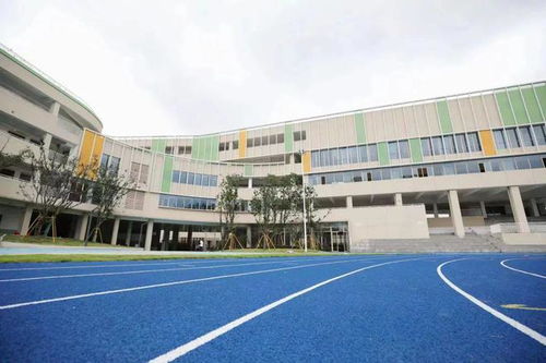 新校探营⑥ | 温州市建设小学七都分校 定制每一个孩子的未来学习乐园