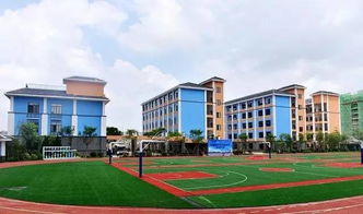 南咸北甜 从粽子到房子，一场味蕾与居所的趣味争论