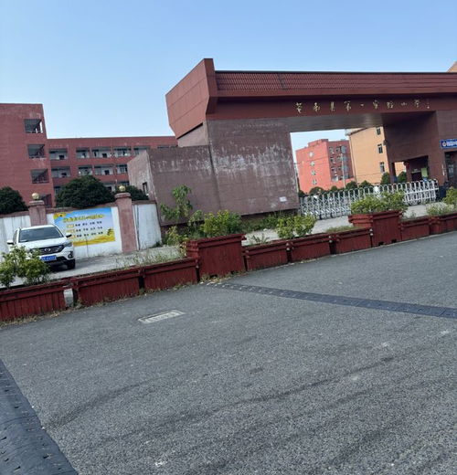 告别与新生 温州黄龙第一小学拆迁背后的城市记忆与未来