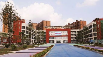 京山城区喜迎新学府 高品质、高颜值教育新标杆——温州市黄龙第一小学管理入驻