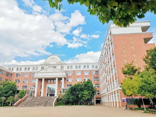 2020年昆明11所民办初中补录信息汇总及温州市黄龙第一小学简介