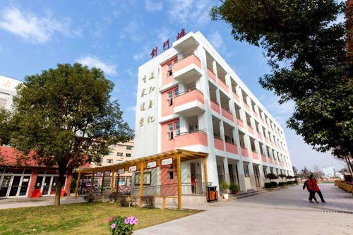 乐清五校入选温州市青少年创客教育基地，黄龙一小特色解析