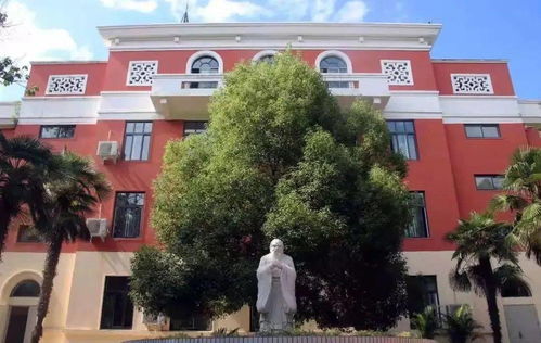 郑州这所‘城市森林学校’，让童年长在阳光里——给家长一个不留遗憾的选择
