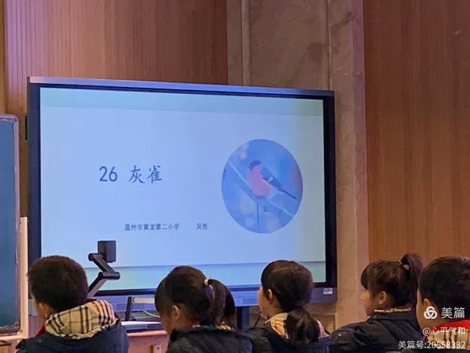 灰雀第一课时吴亮(鹿城区黄龙第二小学)