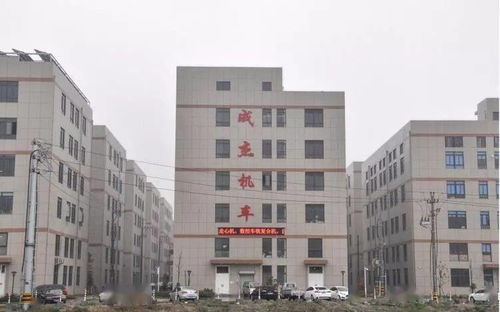 五金制造与教育并重 温州成杰汽配与黄龙一小的区域发展双引擎